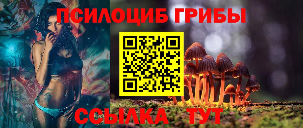 Галлюциногенные грибы Magic Shrooms  Галлюциногенные грибы Psilocybine cubensis  Вход с VPN  наркотики  Карпинск 